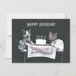 Cartão Postal Feliz aniversário dos gatos-do-mato-bonitos