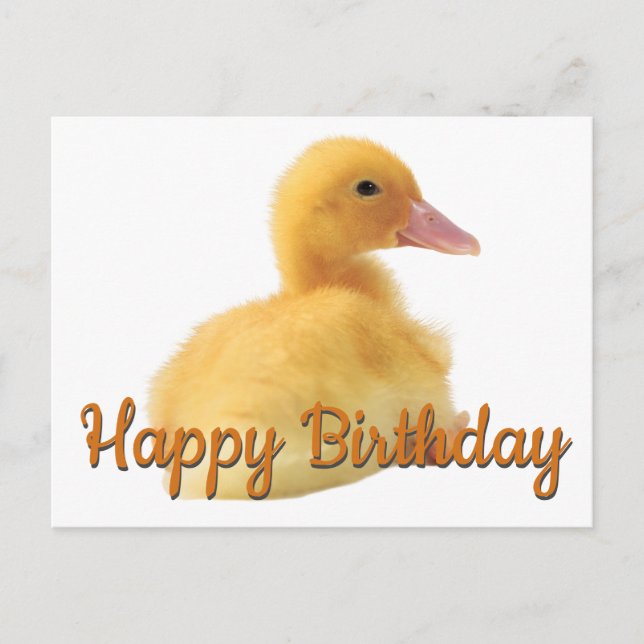 Cartão Postal Feliz Aniversário Ducking (Frente)