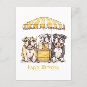 Cartão Postal Feliz Aniversário English Bulldogs Stand de Limona