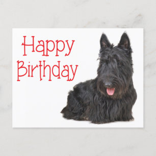 Cartão Postal Feliz Aniversário Escocês Terrier Puppy Postcard