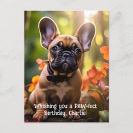 Cartão Postal Feliz Aniversário, Filhote Francês numa selva