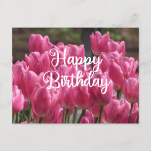 Cartão Postal Feliz Aniversário Flores de Tulipa Rosa 