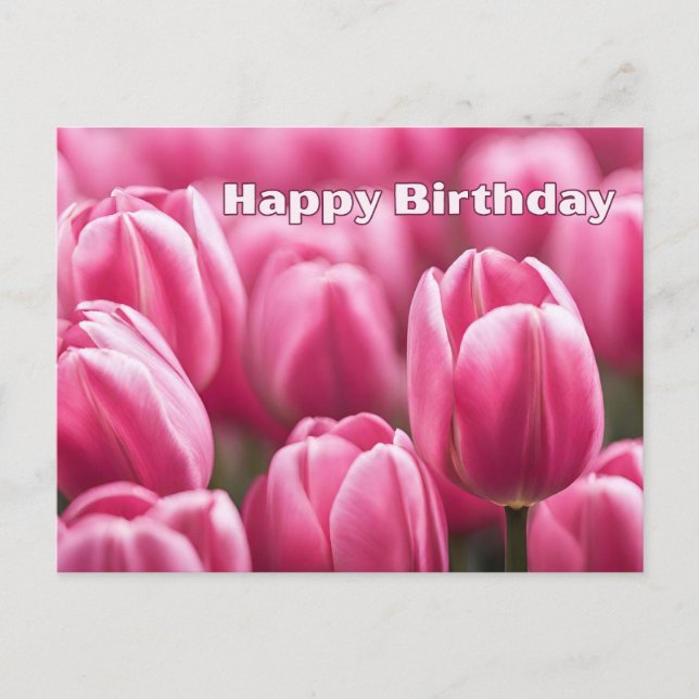 Cartão Postal Feliz Aniversário Flores de Tulipas Rosa Vibrantes (Frente)