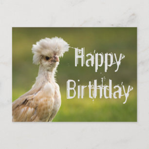 Cartão Postal Feliz Aniversário Frango Polonês