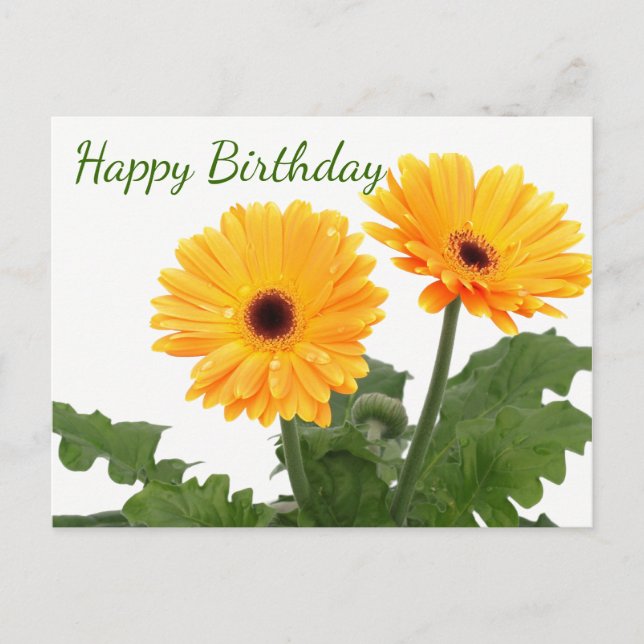 Cartão Postal Feliz Aniversário Gerbera Daisy Flores Laranja Ver (Frente)