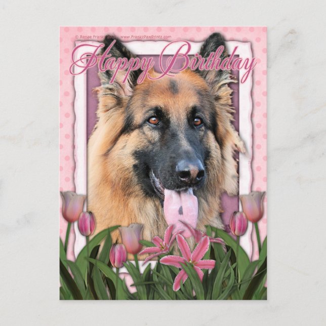 Cartão Postal Feliz Aniversário - German shepherd - Longo Curso (Frente)