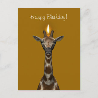 Cartão Postal Feliz aniversário Girafa