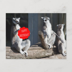 Cartão Postal Feliz Aniversário Katta