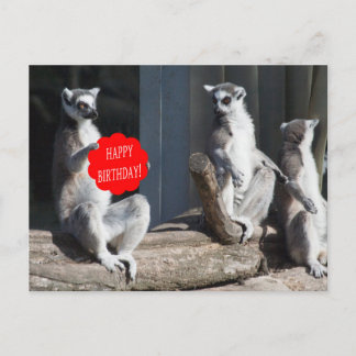 Cartão Postal Feliz Aniversário Katta