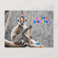 Feliz Aniversário Lêmure Engraçado Fofo em um Galh