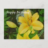 Feliz aniversário Lily
