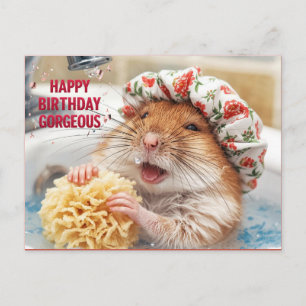 Cartão Postal Feliz Aniversário Lindíssimo – Hamster Engraçado n