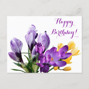 Cartão Postal Feliz aniversário lindo floral de açafrão roxo ama