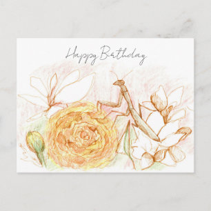 Cartão Postal Feliz Aniversário Louva-a-Deus Jardim Bug