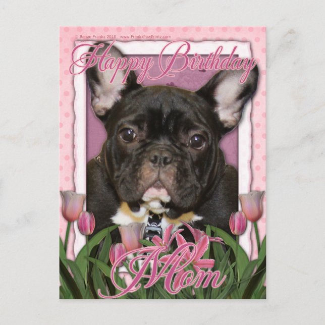 Cartão Postal Feliz Aniversário Mãe - Cachorro Francês - Teal (Frente)