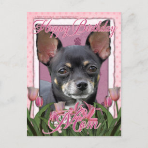 Cartão Postal Feliz aniversário Mãe - Chihuahua - Isabella