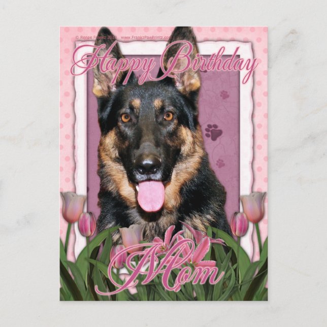 Cartão Postal Feliz aniversário Mãe - German shepherd - Kuno (Frente)