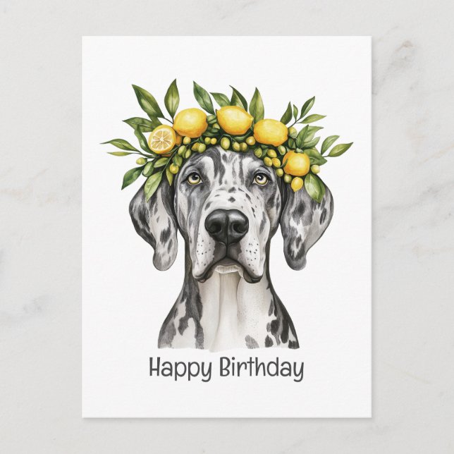Cartão Postal Feliz Aniversário Merle Great Dane Cachorro Coroa  (Frente)