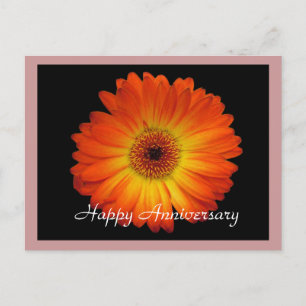Cartão Postal Feliz aniversário, orange gerbera daisy