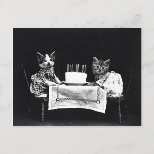 Cartão Postal Feliz aniversário para Meow   Gatinhos com Bolo