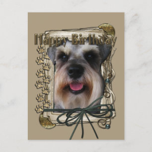 Cartão Postal Feliz Aniversário - Patas Pedras - Schnauzer