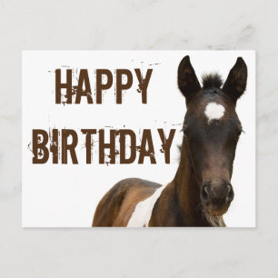 Cartão Postal Feliz Aniversário Potro Cavalo