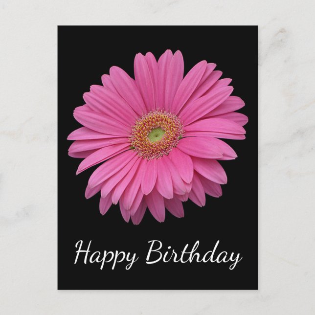 Cartão Postal Feliz Aniversário Rosa Gerbera Daisy Black (Frente)