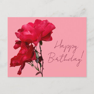 Cartão Postal Feliz aniversário rosas vermelhas flores boho flor