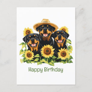 Cartão Postal Feliz Aniversário Rottweiler Cães Girassóis
