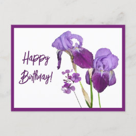 Cartão Postal Feliz aniversário, roxo irai lindos florais bonito