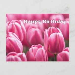 Cartão Postal Feliz Aniversário Tulipas Rosa Vibrante Flores 