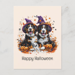 Cartão Postal Feliz Cachorros de Montanha Bernese