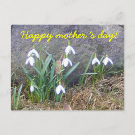 Cartão Postal Feliz dia da mãe!