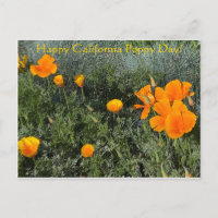 Feliz Dia da Poppy Califórnia!
