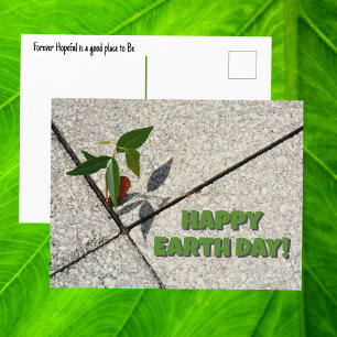 Cartão Postal Feliz Dia da Terra Mudas de Árvore Novo Cresciment