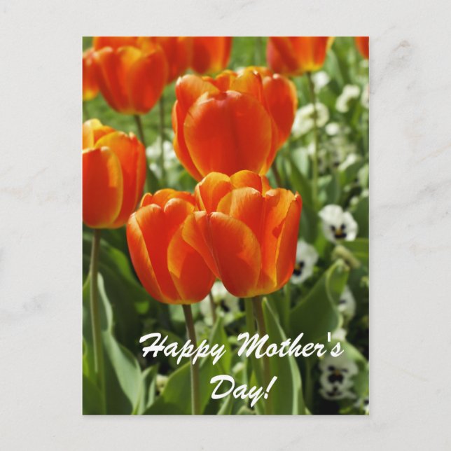 Cartão Postal Feliz Dia das Mães (Frente)