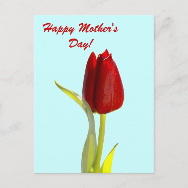 Cartão Postal Feliz Dia das Mães (Frente)