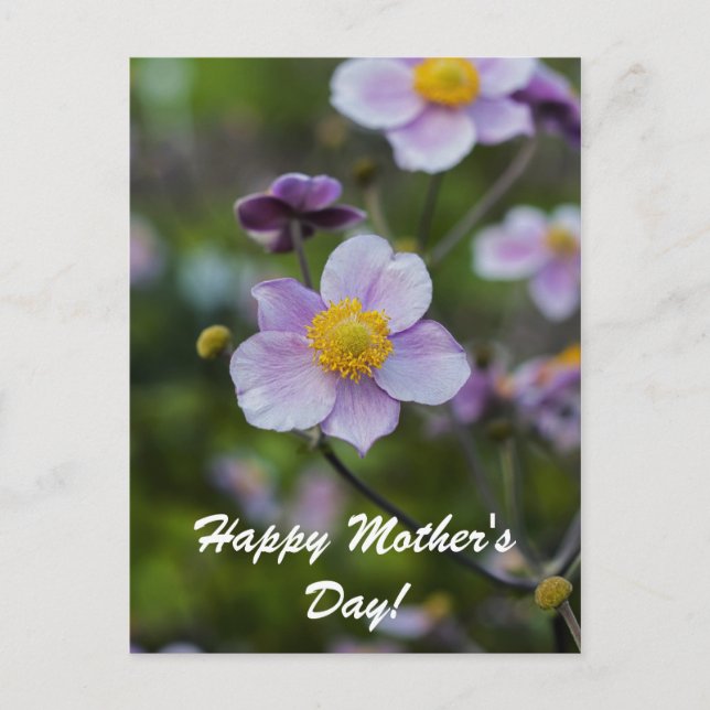 Cartão Postal Feliz Dia das Mães (Frente)