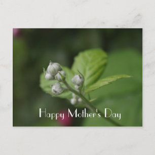 Cartão Postal Feliz Dia das Mães, flor de framboesa selvagem de