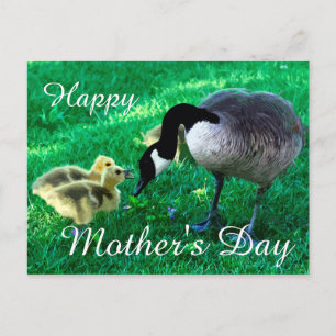 Cartão Postal Feliz Dia de as mães - Mãe Goose