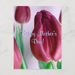 Cartão Postal Feliz Dia de as mães Rosey Tulips