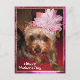 Cartão Postal Feliz Dia de as mães Yorkie