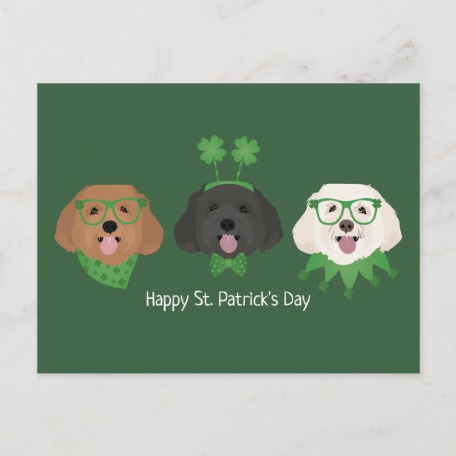 Cartão Postal Feliz Dia de São Patrício Maltipoo Dogs (Frente)