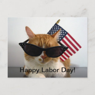 Cartão Postal Feliz Dia do Trabalho Legal Gato com Cartão-Posta