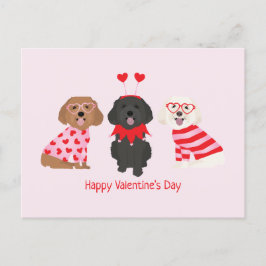 Cartão Postal Feliz Dia dos Namorados Maltipoo Cães