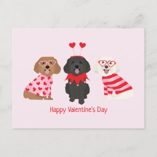 Cartão Postal Feliz Dia dos Namorados Maltipoo Cães