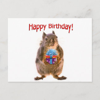 Cartão Postal Feliz Esquilo de aniversário com presente