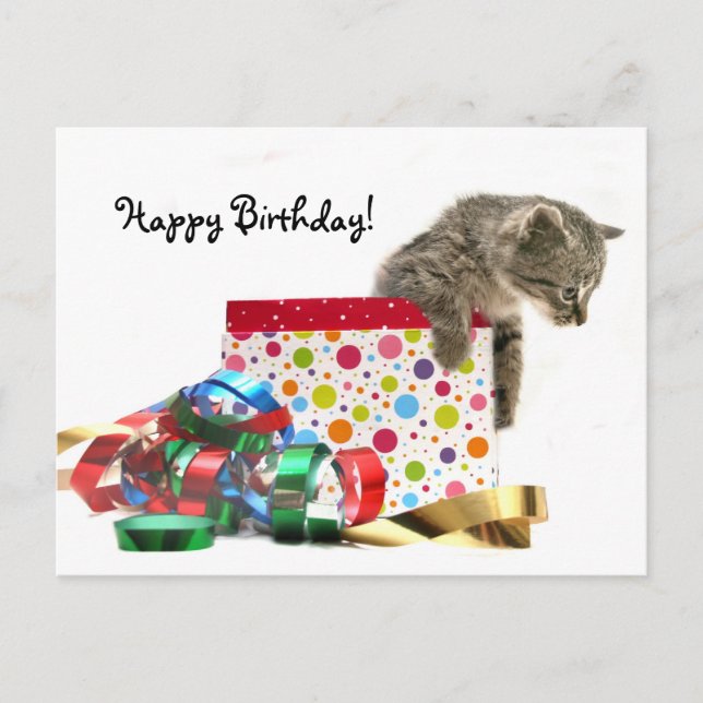 Cartão Postal Feliz gatinho de aniversário (Frente)