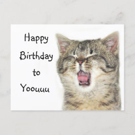 Cartão Postal Feliz gatinho de aniversário