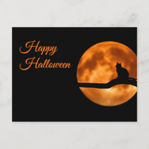 Cartão Postal Feliz Gato de Halloween